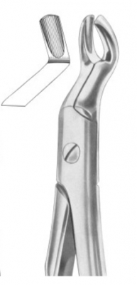  Fig. 67 upper third molars 